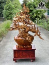 Bình Mai Phú Quý Gỗ Hương Cao 172 Ngang 112 Sâu 79 (cm)
