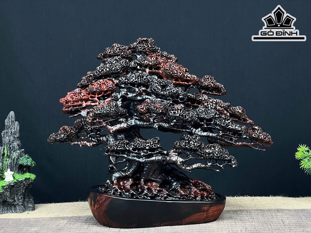 Cây Tùng Bonsai Gỗ Trắc Cao 28 Ngang 34 Sâu 17 (cm)