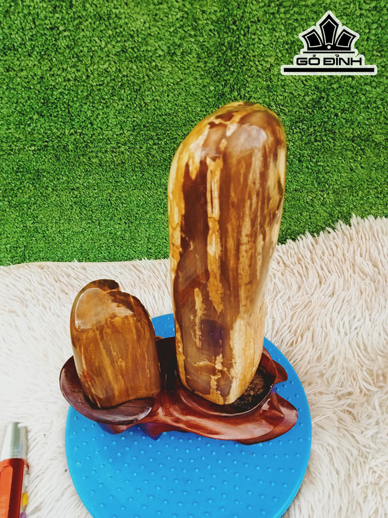 Tác Phẩm Gỗ Hóa Thạch Cao 31 Ngang 17 (cm) 3,6kg