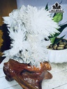 Bông Hoa Ưu Đàm Đá Trầm Tích Cao 24 Ngang 16 (cm) 2,2kg