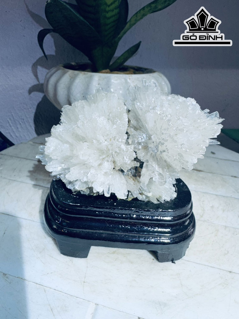 Bông Hoa Ưu Đàm Đá Trầm Tích Cao 14 Ngang 13 (cm) 0,8kg