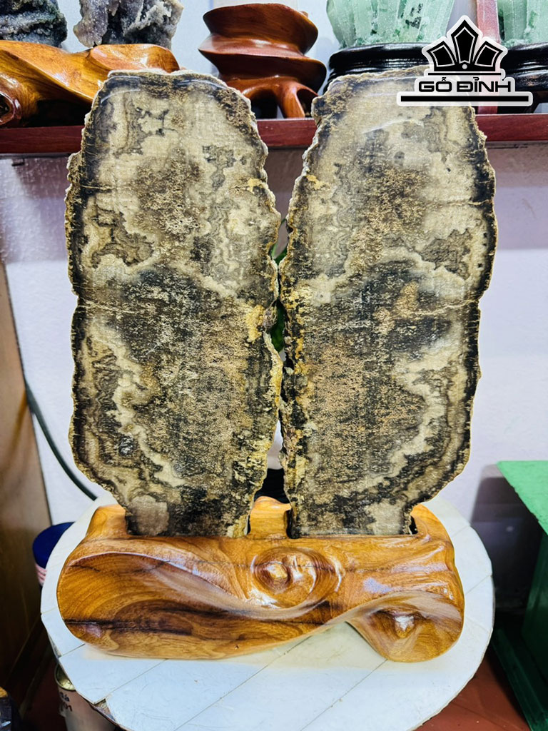 Cặp Gỗ Hóa Thạch Cao 39 Ngang 27 (cm) 7kg