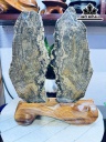 Tác Phẩm Gỗ Hóa Thạch Cao 37 Ngang 27 (cm) 5,8kg