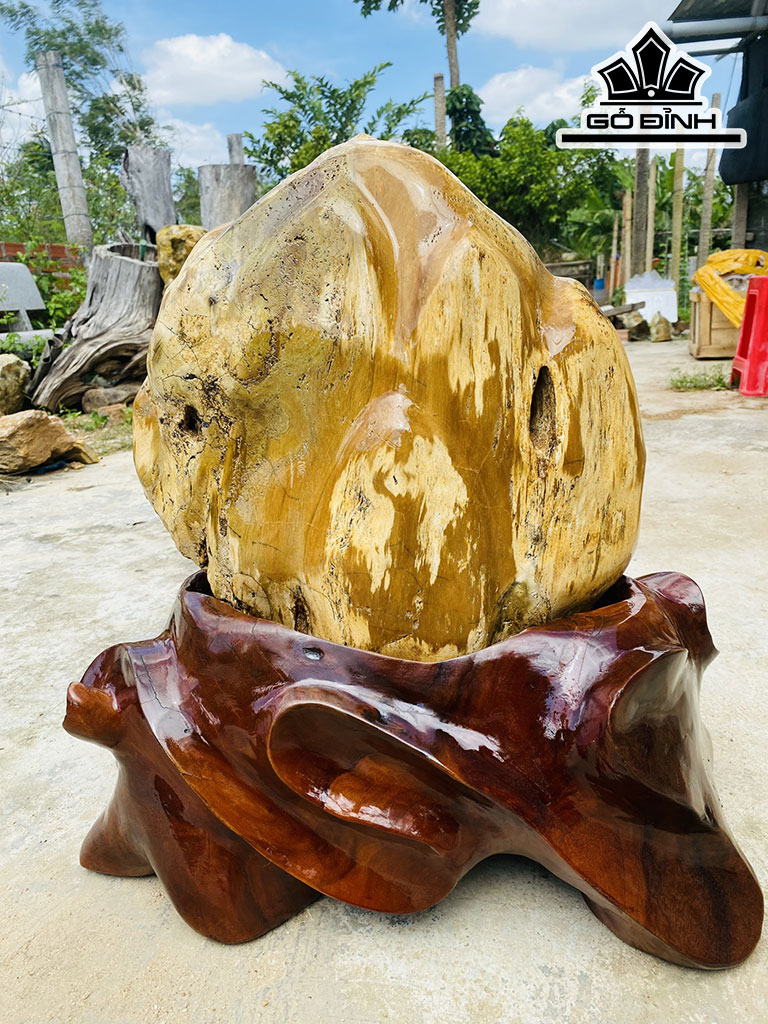 Tác Phẩm Gỗ Hóa Thạch Cao 60 Ngang 60 (cm) 54kg
