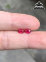 Cặp Đá Ruby Đỏ Cao 4,5 Ngang 3,3 Sâu 2,2 (mm) 0,76cts