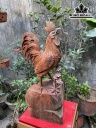 Tượng Gà Trống Gỗ Trắc Cao 55 Ngang 35 Sâu 16 (cm)