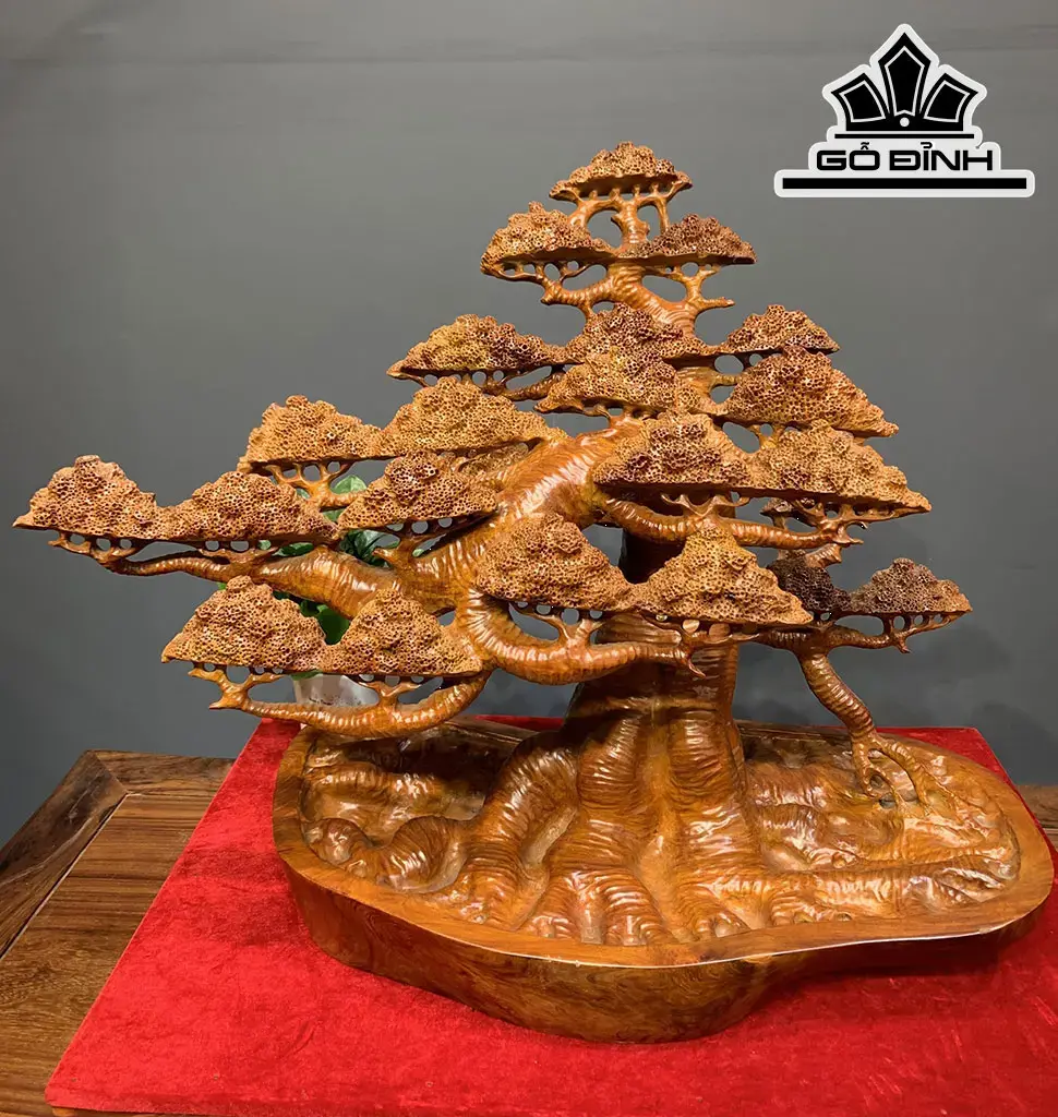 Cây Tùng Bonsai Gỗ Hương Cao 58 Ngang 73 Sâu 38 (cm)