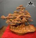 Cây Tùng Bonsai Gỗ Hương Cao 58 Ngang 73 Sâu 38 (cm)