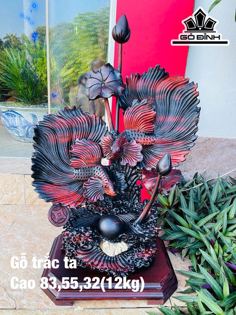 Tượng Cá Xiêm Gỗ Trắc Cao 83 Ngang 55 Sâu 32 (cm)