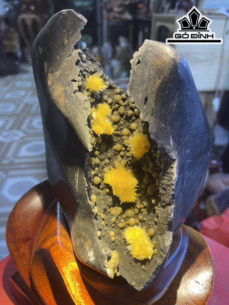 Bông Hoa Ưu Đàm Đá Trầm Tích Cao 32 (cm) 5kg