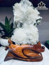Bông Hoa Ưu Đàm Đá Trầm Tích Cao 37 Ngang 17 (cm) 6,6kg
