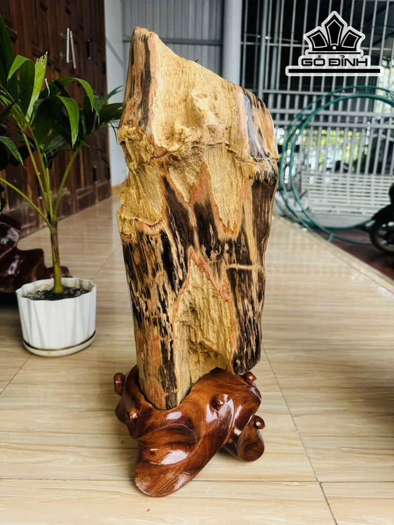 Tác Phẩm Gỗ Hóa Thạch Cao 56 Ngang 20 (cm) 17,6kg