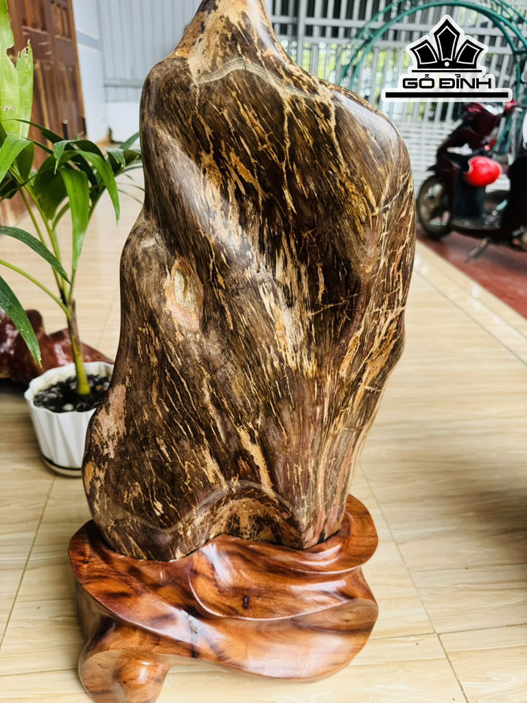 Tác Phẩm Gỗ Hóa Thạch Cao 62 Ngang 27 (cm) 22kg