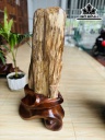 Tác Phẩm Gỗ Hóa Thạch Cao 65 Ngang 22 (cm) 24kg