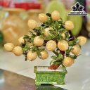 Cây Đào 18 Quả Đá Ngọc Hoàng Long Cao 45 Ngang 30 (cm) 9kg