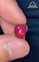 Viên Đá Lửa Lục Yên 3,53cts