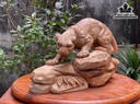 Tượng Báo Săn Mồi Gỗ Nu Ngọc Am Cao 25 Ngang 40 Sâu 16 (cm)