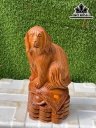 Tượng Chó Gỗ Ngọc Am Cao 45 Ngang 23 Sâu 20 (cm)