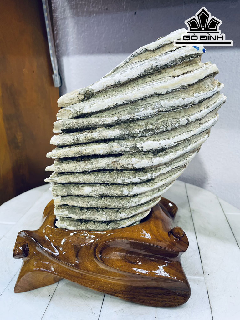 Tác Phẩm Răng Voi Gỗ Hóa Thạch Cao 25 Ngang 16 (cm) 3,3kg