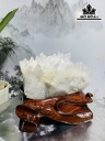 Tinh Thể Đá Thạch Anh Trắng Cao 18 Ngang 20 (cm) 5kg