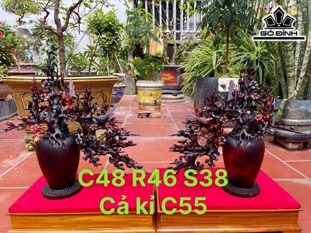 Cặp Bình Mai Gỗ Trắc Cao 48 Ngang 46 Sâu 38 (cm)
