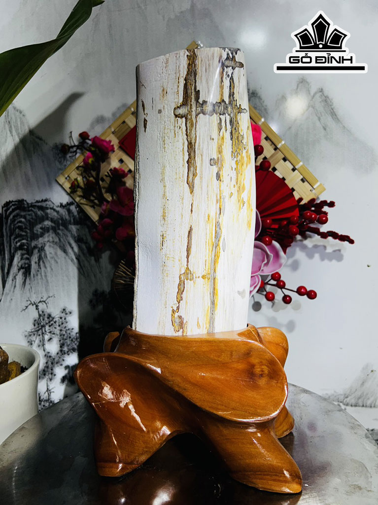 Tác Phẩm Gỗ Hóa Thạch Cao 35 Ngang 21 (cm) 3,6kg