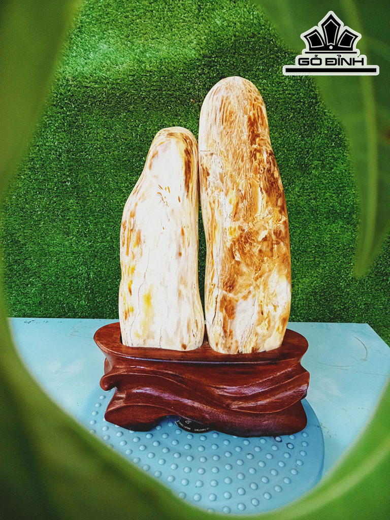 Tác Phẩm Gỗ Hóa Thạch Cao 32 Ngang 16 (cm) 3,5kg