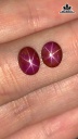 Cặp Đá Ruby Sao Yên Bái 3,2cts