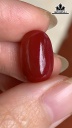 Viên Đá Ruby Yên Bái 10,65cts
