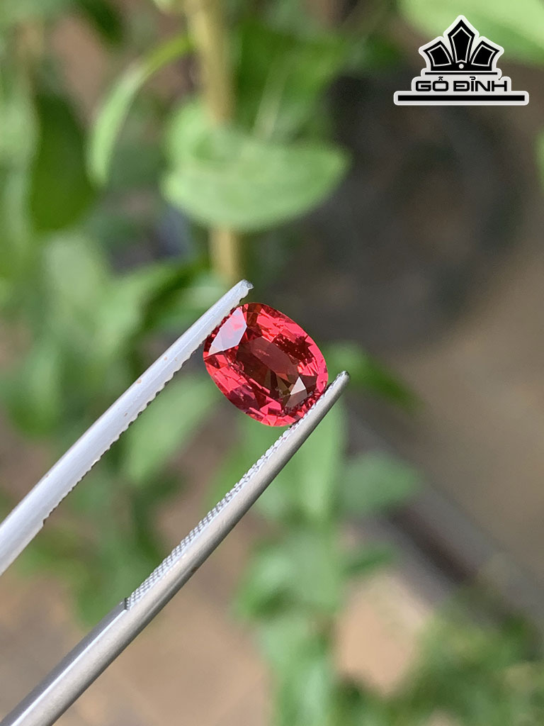 Viên Đá Sapphire Cao 8,3 Ngang 6,5 Sâu 3,5 (mm) 1,55cts