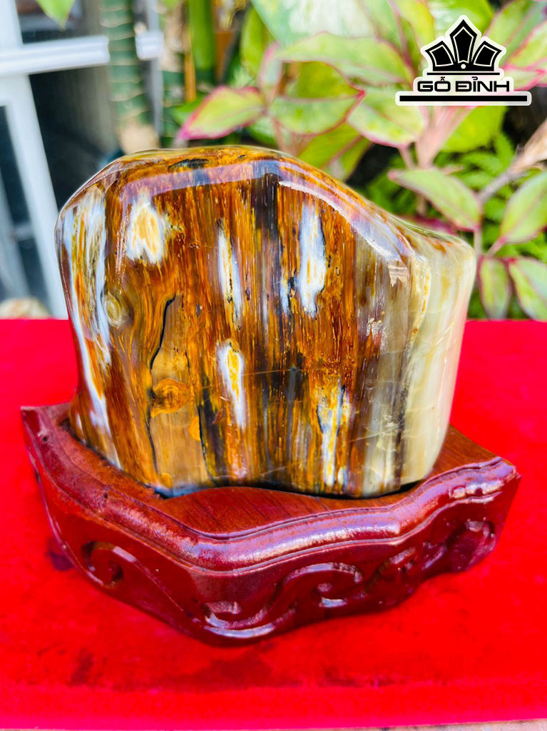 Tác Phẩm Gỗ Hóa Thạch Cao 16 (cm) 1,9kg