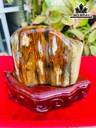 Tác Phẩm Gỗ Hóa Thạch Cao 16 (cm) 1,9kg