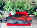 Khay Trà Gỗ Trắc Ngang 60 Rộng 25 Sâu 9 (cm)