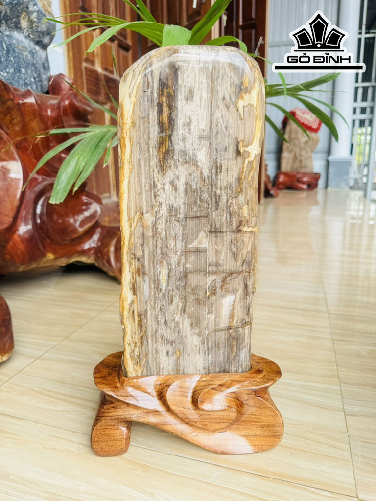 Tác Phẩm Gỗ Hóa Thạch Cao 45 Ngang 15 (cm) 7kg