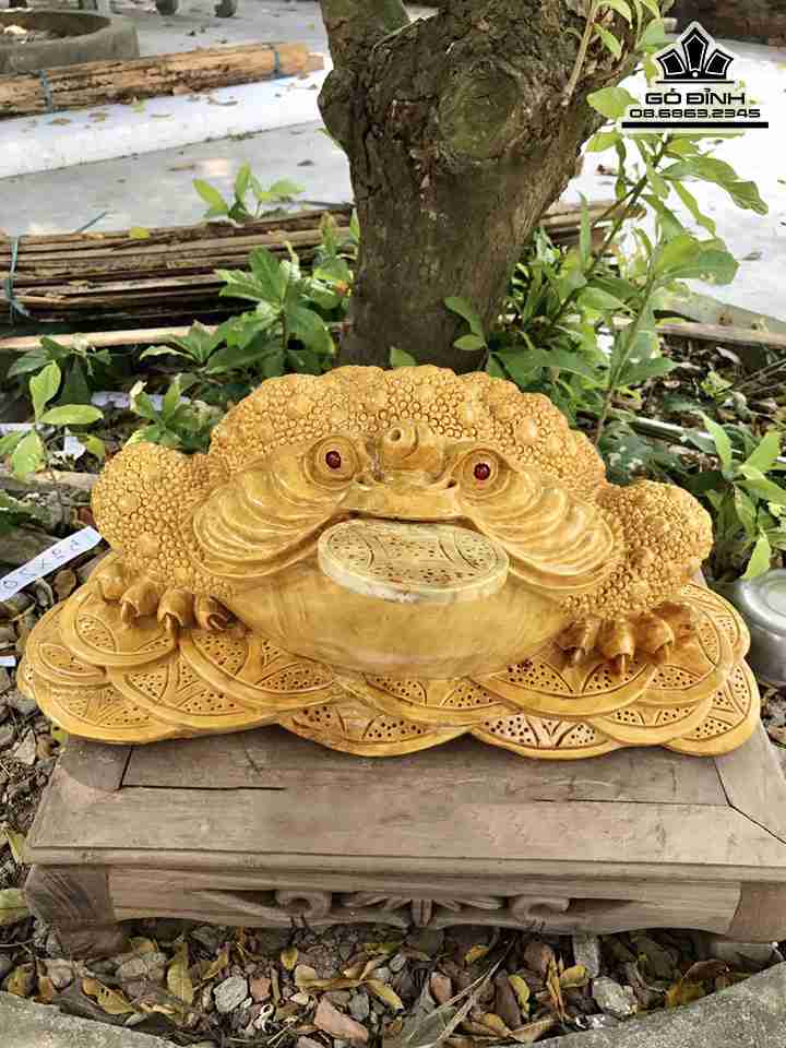 Tượng Cóc Ngậm Tiền Gỗ Nu Nghiến  Rộng 51 Dày 30 Cao 23 (cm)