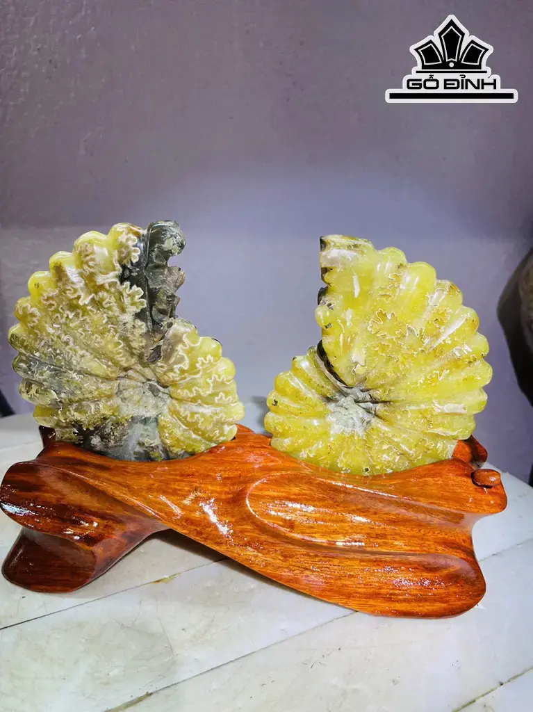 Cặp Ốc Anh Vũ Hóa Ngọc Cao 15 Ngang 19 (cm) 1kg