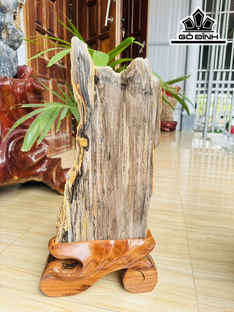 Tác Phẩm Gỗ Hóa Thạch Cao 52 Ngang 20 (cm) 5,7kg