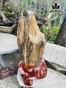 Tác Phẩm Gỗ Hóa Thạch Cao 86 (cm) 54kg