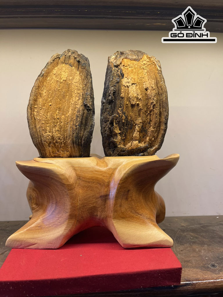 Tác Phẩm