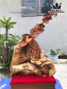 Cây Lan Trang Trí Gỗ Hương Cao 50 Ngang 35 Sâu 21 (cm)