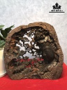 Tượng Thành Tâm Bái Phật Gỗ Trắc Cao 27 Ngang 29 Sâu 9 (cm)