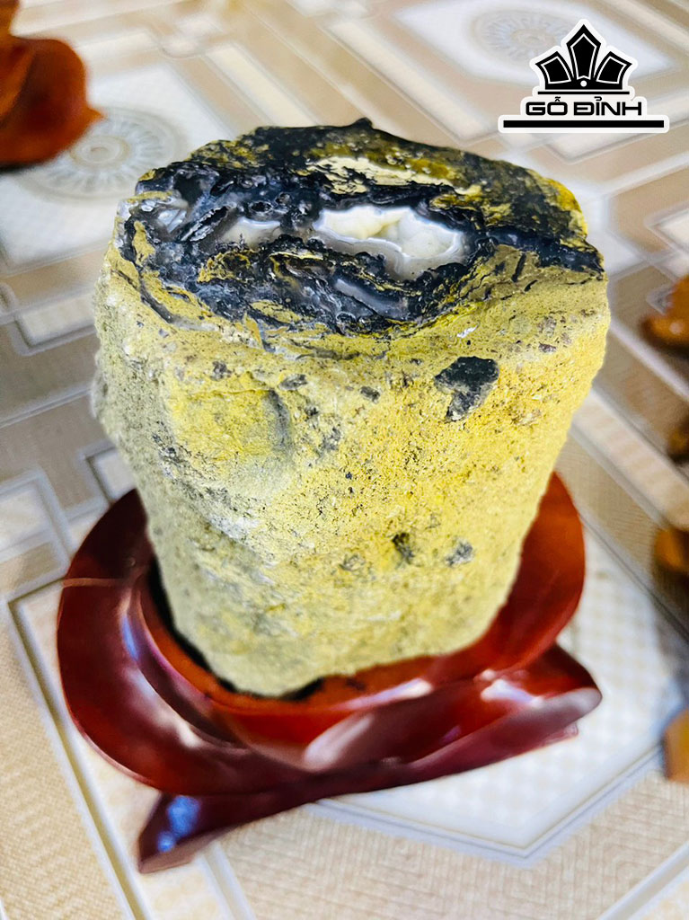 Tác Phẩm Gỗ Hóa Thạch Cao 23 (cm) 2,8kg