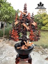 Bình Hoa Mai Gỗ Trắc Cao Cả Kỷ 94 Ngang 52 Sâu 32 (cm)