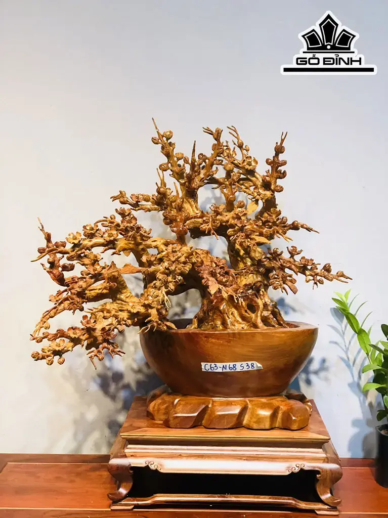 Chậu Mai Phú Quý Gỗ Hương Cao 63 Ngang 68 Sâu 38 (cm)