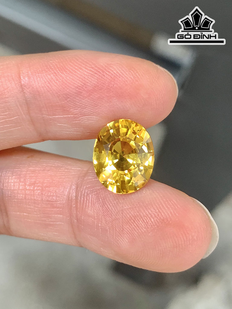 Viên Đá Sapphire Vàng Cao 11,5 Ngang 9,5 Sâu 5,8 (mm) 4,88cts