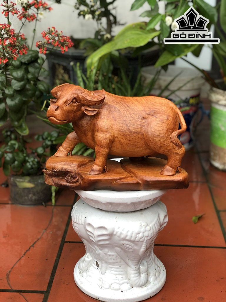 Tượng Trâu Gỗ Gõ Đỏ (Cà te) Cao 24 Ngang 36 Sâu 18 (cm)