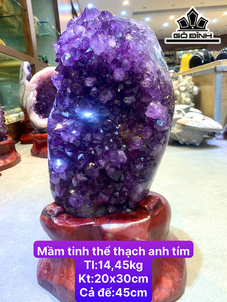 Mầm Tinh Thể Đá Thạch Anh Tím Cao 20 Ngang 30 (cm) 14,45kg