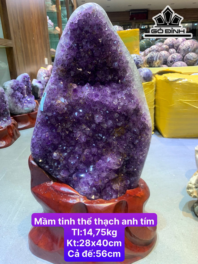 Mầm Tinh Thể Đá Thạch Anh Tím Cao 28 Ngang 40 (cm) 14,75kg