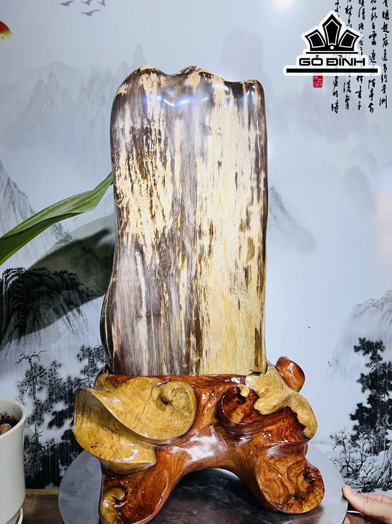 Tác Phẩm Gỗ Hóa Thạch Cao 52 Ngang 29 (cm) 20kg