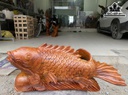Tượng Cá Chép Ngậm Dây Tiền Gỗ Hương Cao 22 Ngang 54 Sâu 19 (cm)